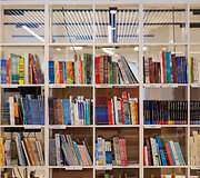 Ąžuolyno biblioteka