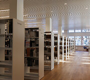 Ąžuolyno biblioteka