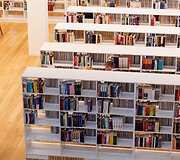 Ąžuolyno biblioteka
