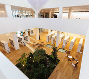 Ąžuolyno biblioteka