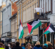 Palestinos palaikymo akcija Kaune