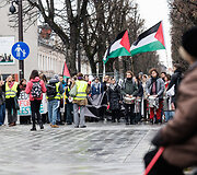 Palestinos palaikymo akcija Kaune