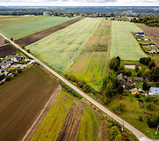 Ąžuolo gatvė Pypliuose
