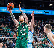 Ignas Brazdeikis