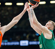 Ignas Brazdeikis