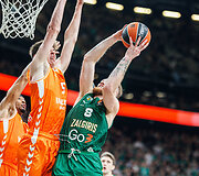 Ignas Brazdeikis