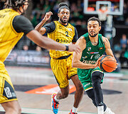 Nigel Williams Goss