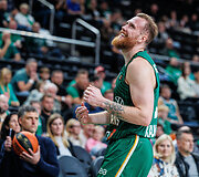 Ignas Brazdeikis