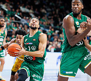 Nigel Williams Goss