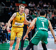 Vaidas Kariniauskas