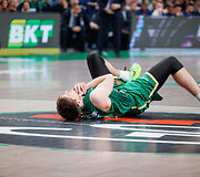 Ąžuolas Tubelis