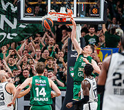 Laurynas Birutis