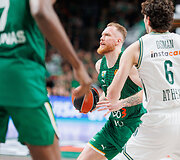 Ignas Brazdeikis
