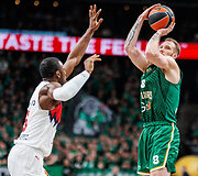 Ignas Brazdeikis