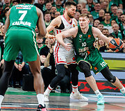 Ąžuolas Tubelis