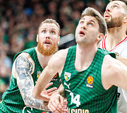 Ignas Brazdeikis