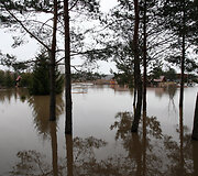 2010 metų potvynis pakaunėje