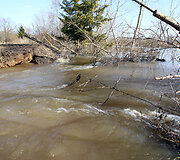 2013 metų potvynis pakaunėje