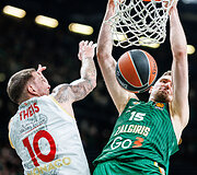 Laurynas Birutis