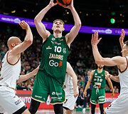 Ąžuolas Tubelis