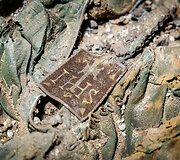 Archeologiniai atradimai Kauno bažnyčioje