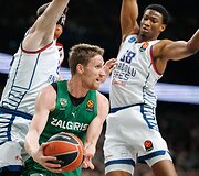 Marius Grigonis