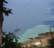 Kauno marių paplūdimys