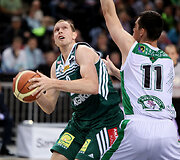Darius Songaila