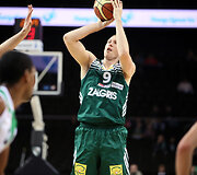 Darius Songaila