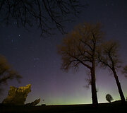 Žvaigždėtas dangus