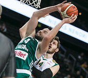 Ianas Vougioukas