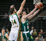 Martynas Pocius