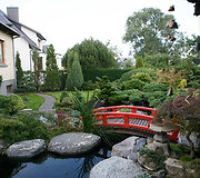 Bonsai oazė Kęstučio Ptakausko namuose