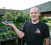 Bonsai oazė Kęstučio Ptakausko namuose