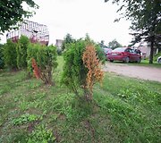 Fotografas atgavo pamestą fotoaparatą