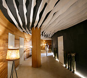 Sveikatingumo ir poilsio kompleksas &bdquo;Vytautas mineral SPA&ldquo; i&scaron; vidaus