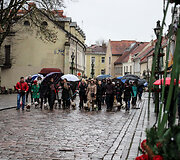 Kaune žygiavo &scaron;ventinė Vakarų &Scaron;kotijos baltųjų terjerų eisena