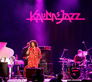 Dianne Reeves koncerto akimirkos