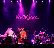 Dianne Reeves koncerto akimirkos