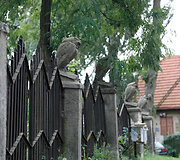 &bdquo;Pelėdų&ldquo; kalnas