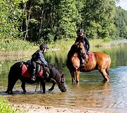 Atrasti Molėtų kra&scaron;tą ant žirgo kviečia &bdquo;Žirgų oazė&ldquo;
