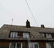 Kaminkrėtys Tadas savo &bdquo;biure&ldquo;