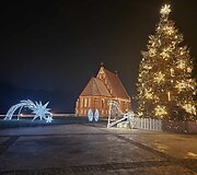 Kalėdi&scaron;kai pasipuo&scaron;ęs Zapy&scaron;kis