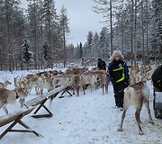 Birutės, Edgaro, Skomanto ir Medeinos kelionė į Laplandiją