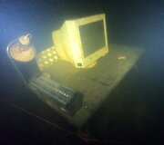 Lietuvos vandens telkiniuose &ndash; lobiai ir &scaron;iuk&scaron;lės