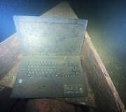 Lietuvos vandens telkiniuose &ndash; lobiai ir &scaron;iuk&scaron;lės
