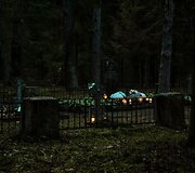 Partizanų kapinės