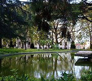 Žalių zonų Porte netrūksta