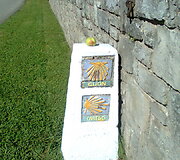 Jokūbo kriauklės
