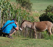 Fotografuojamas asilas